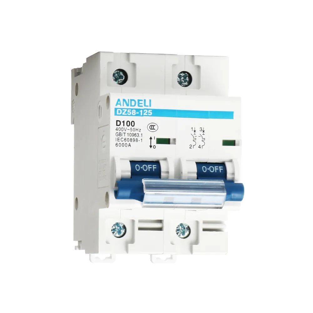 Detalle de bornes y capacidad de conexión DZ58-125